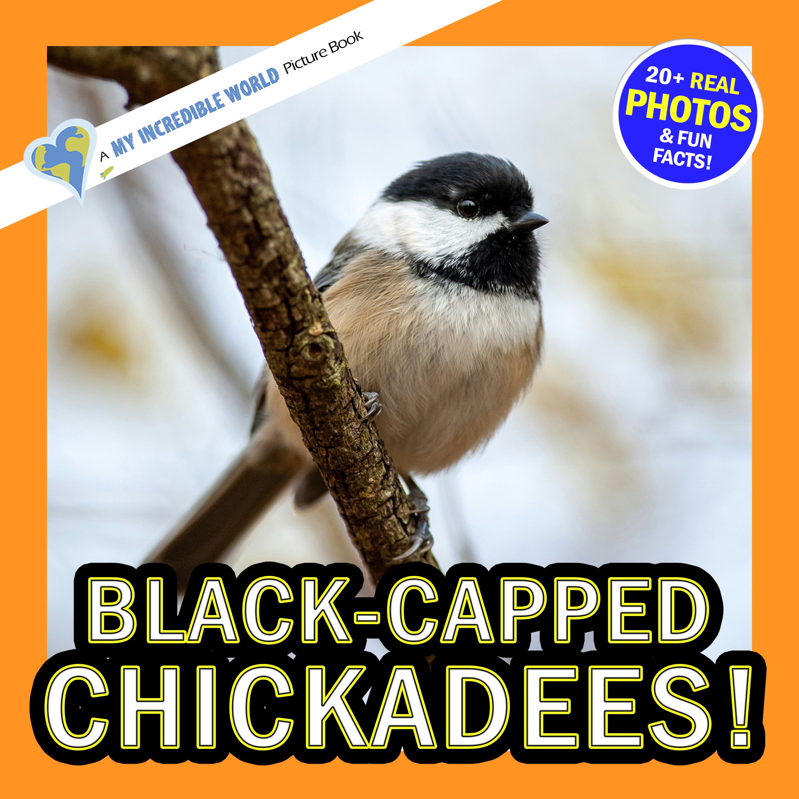 Black-Capped Chickadees! A My Incredible World Picture Book for Children